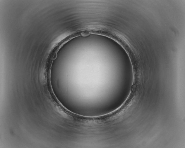 X0000110711018200906121350