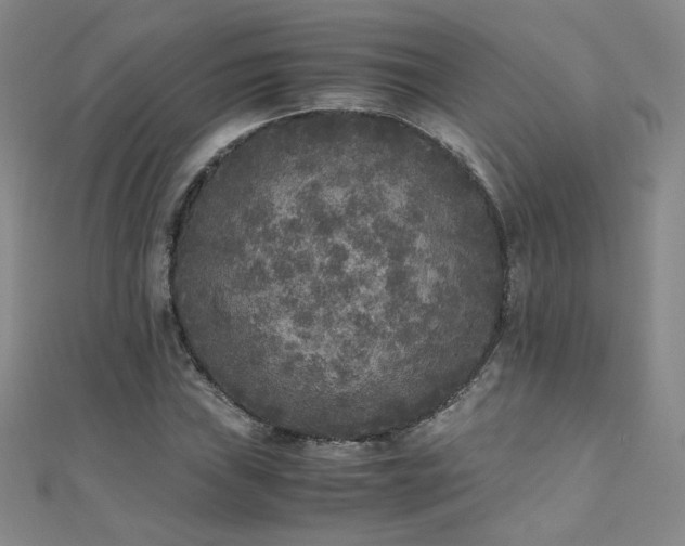 X0000110711019200906121350