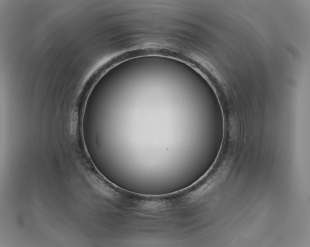 X0000110711021200906121350