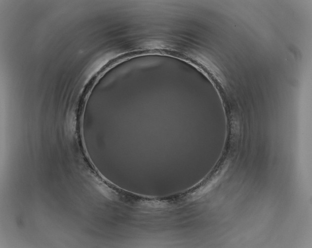 X0000110711023200906121350