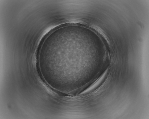 X0000110711024200906121350