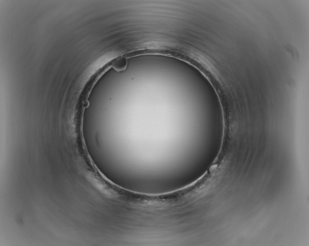 X0000110711026200906121350