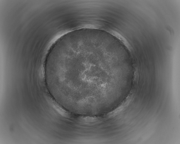 X0000110711027200906121350