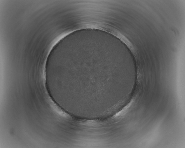 X0000110711028200906121350