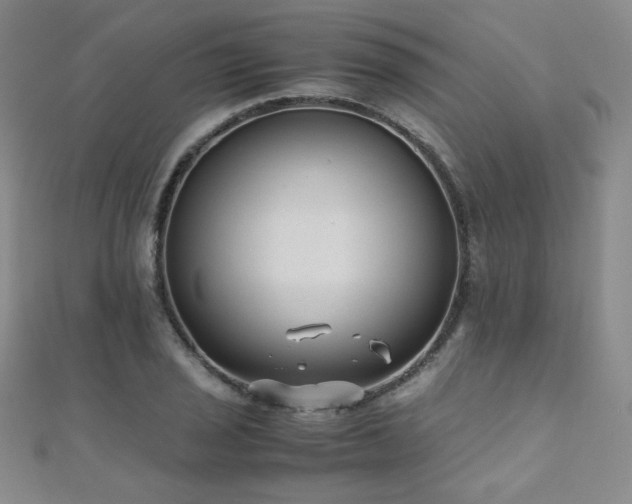 X0000110711029200906121350
