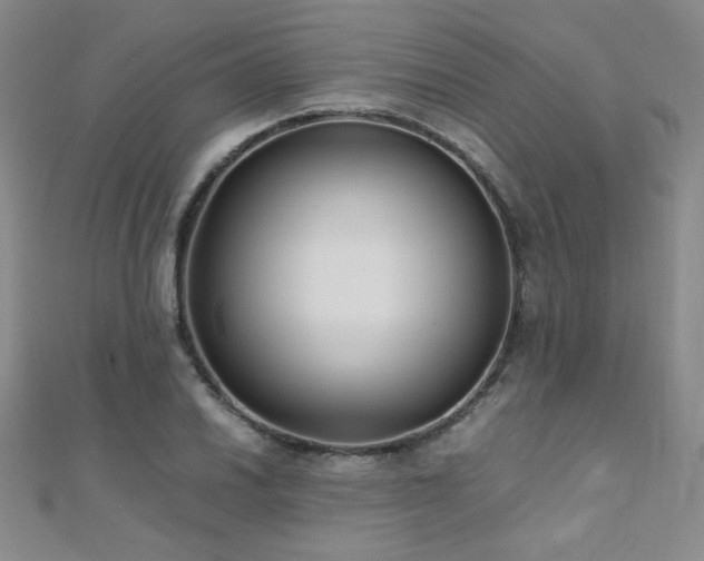 X0000110711030200906121350