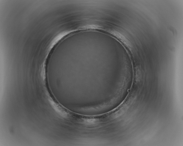 X0000110711031200906121350