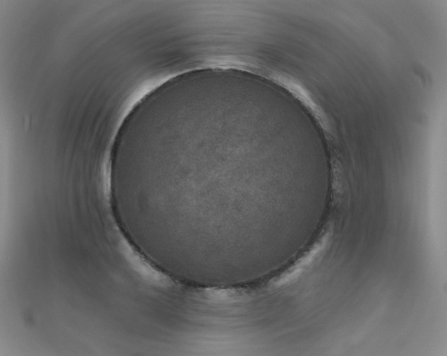 X0000110711032200906121350