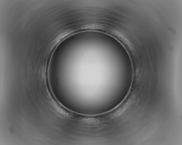 X0000110711033200906121350