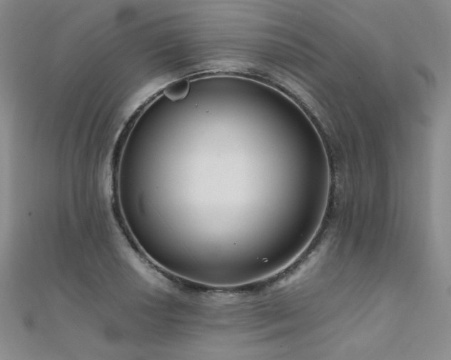 X0000110711034200906121350
