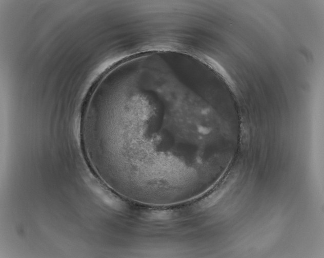 X0000110711035200906121350