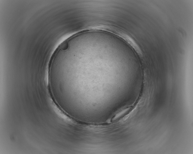 X0000110711036200906121350