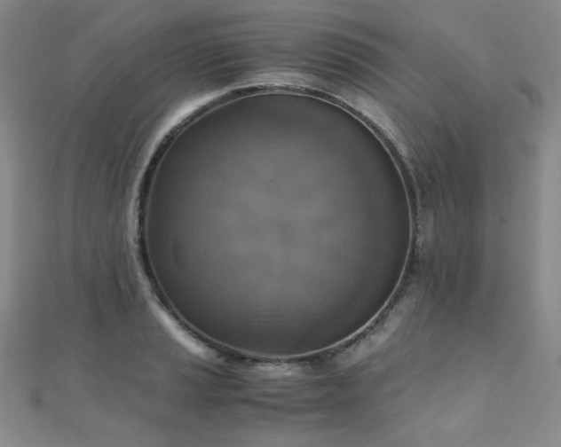 X0000110711037200906121350