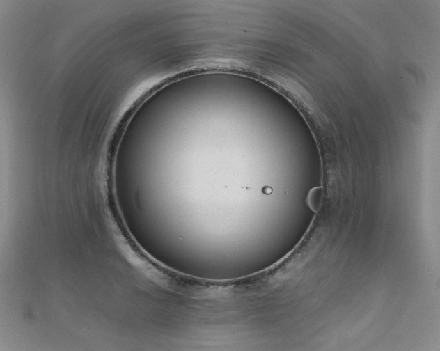 X0000110711038200906121350