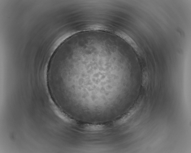 X0000110711039200906121350