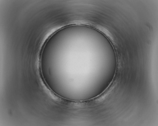 X0000110711040200906121350