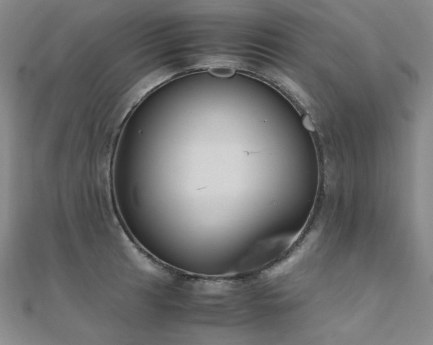 X0000110711041200906121350