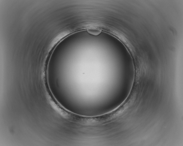 X0000110711042200906121350