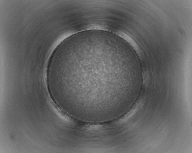 X0000110711043200906121350