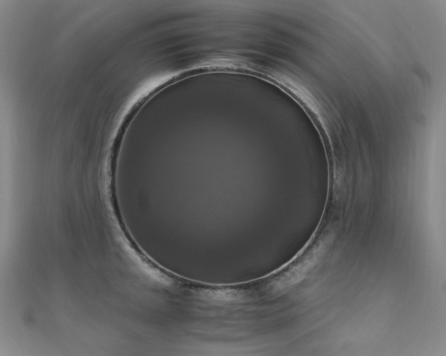 X0000110711045200906121350