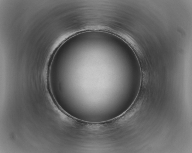 X0000110711046200906121350