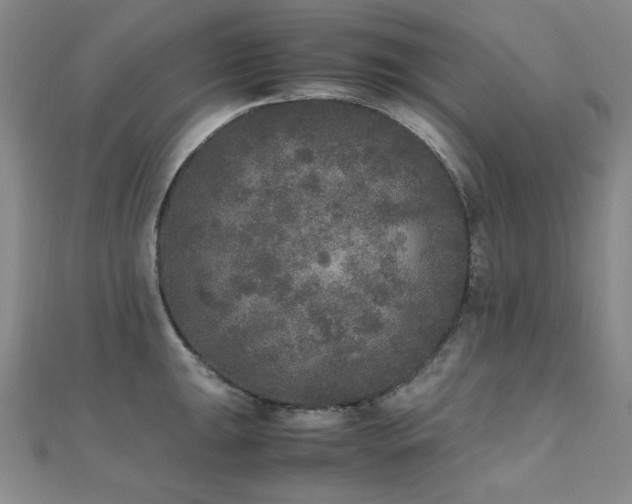 X0000110711047200906121350