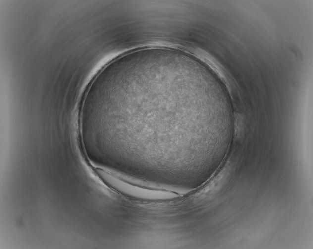 X0000110711048200906121350