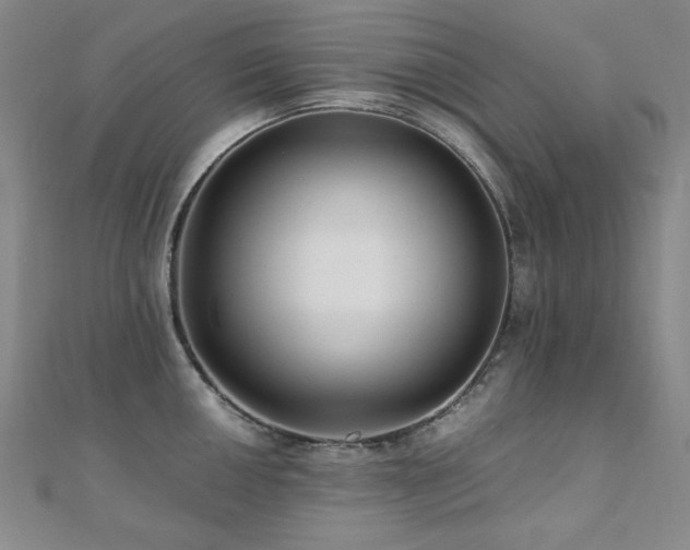 X0000110711050200906121350