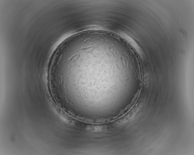 X0000110711051200906121350