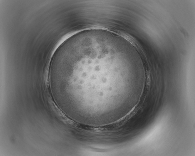 X0000110711052200906121350