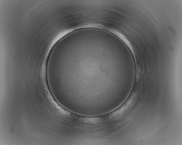 X0000110711053200906121350
