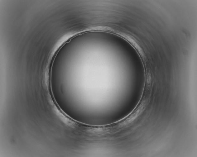 X0000110711054200906121350