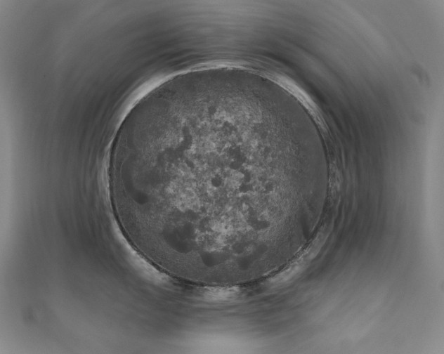 X0000110711055200906121350