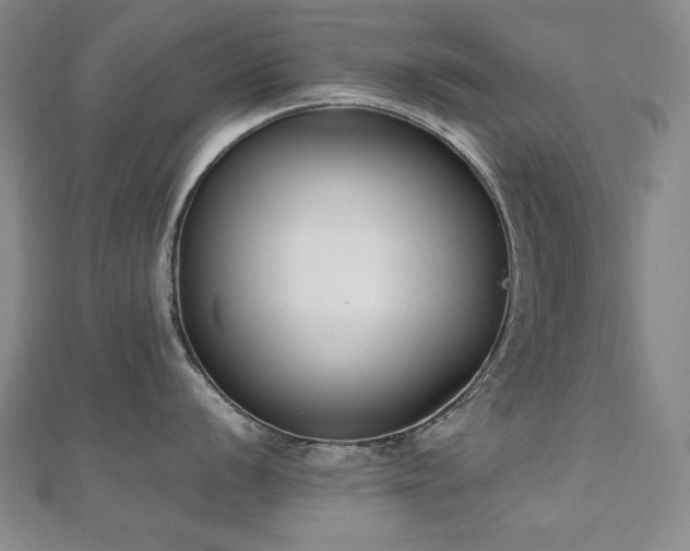 X0000110711056200906121350