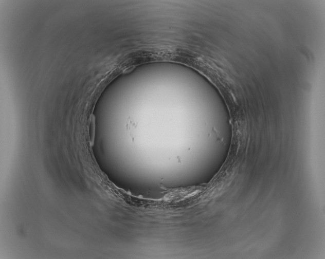 X0000110711057200906121350