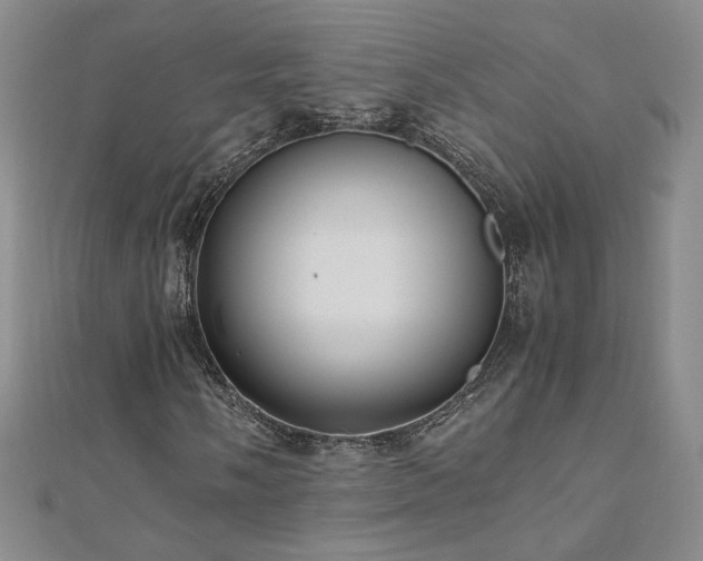 X0000110711058200906121350