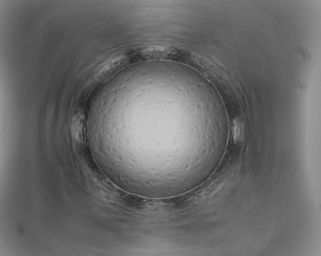 X0000110711059200906121350