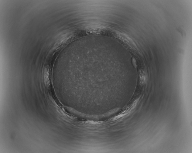 X0000110711060200906121350