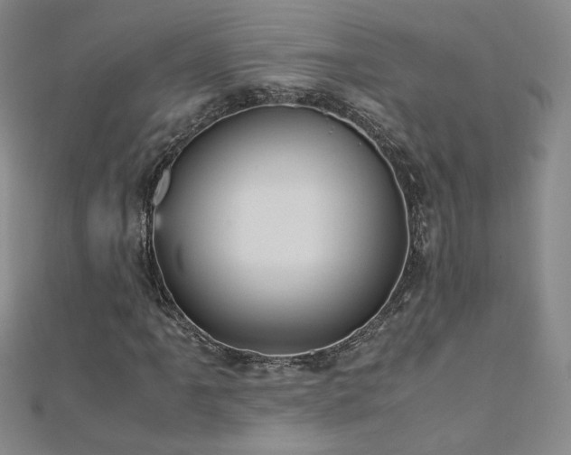 X0000110711061200906121350