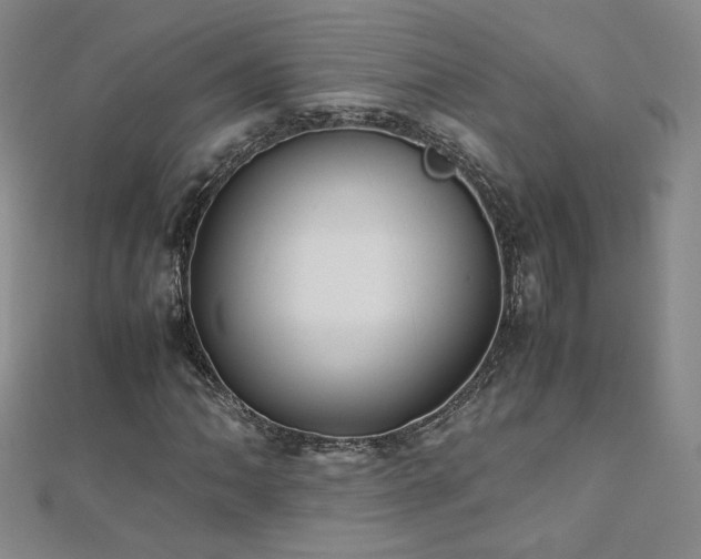 X0000110711062200906121350