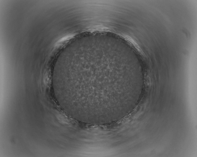 X0000110711063200906121350