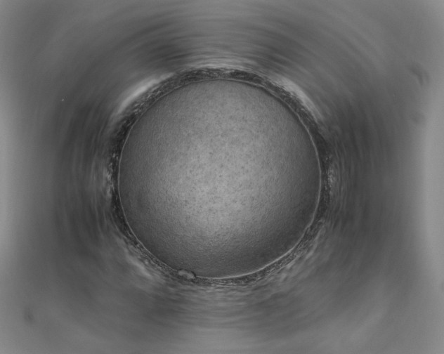 X0000110711064200906121350