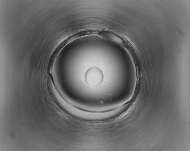X0000110711065200906121350