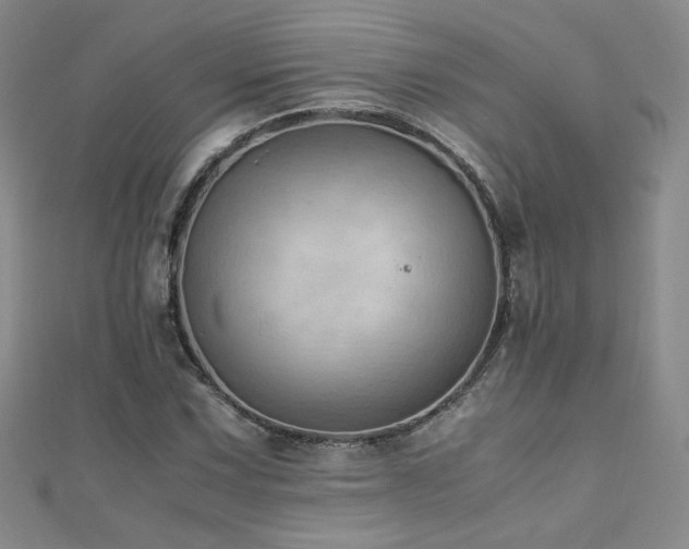 X0000110711067200906121350