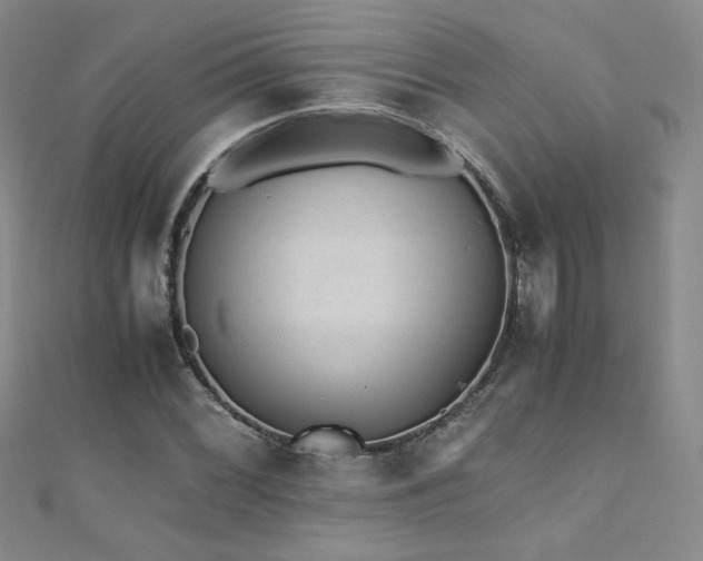 X0000110711068200906121350