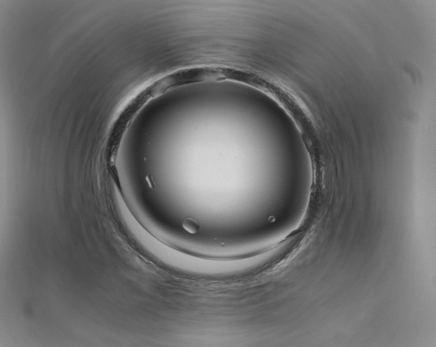 X0000110711069200906121350