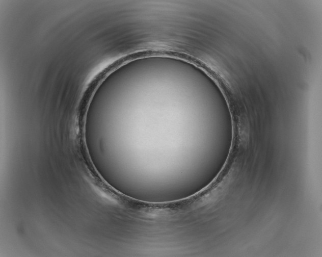 X0000110711070200906121350