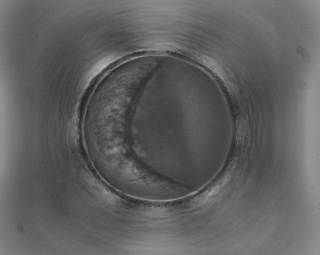 X0000110711071200906121350