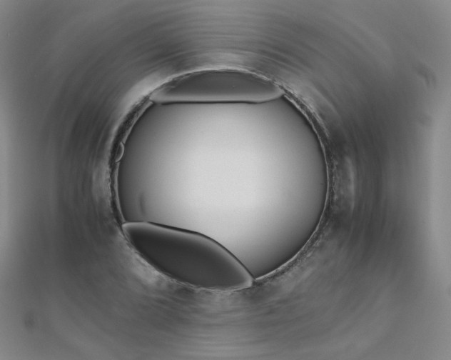 X0000110711072200906121350