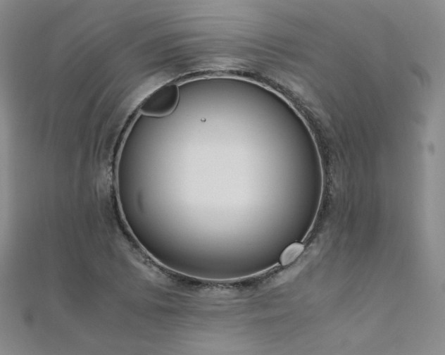 X0000110711073200906121350